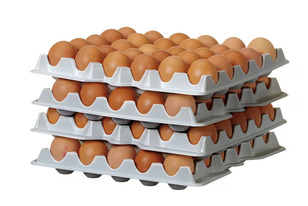 Set aus 4 Eierbehältereinsätzen für HENDI OVOBOX 120 , HENDI, 291x288x(H)41mm