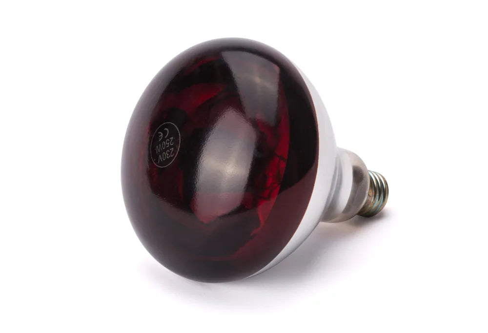 Infrarot-Wärmelampe, HENDI, Rot, 230V/250W, ⌀125x(H)170mm