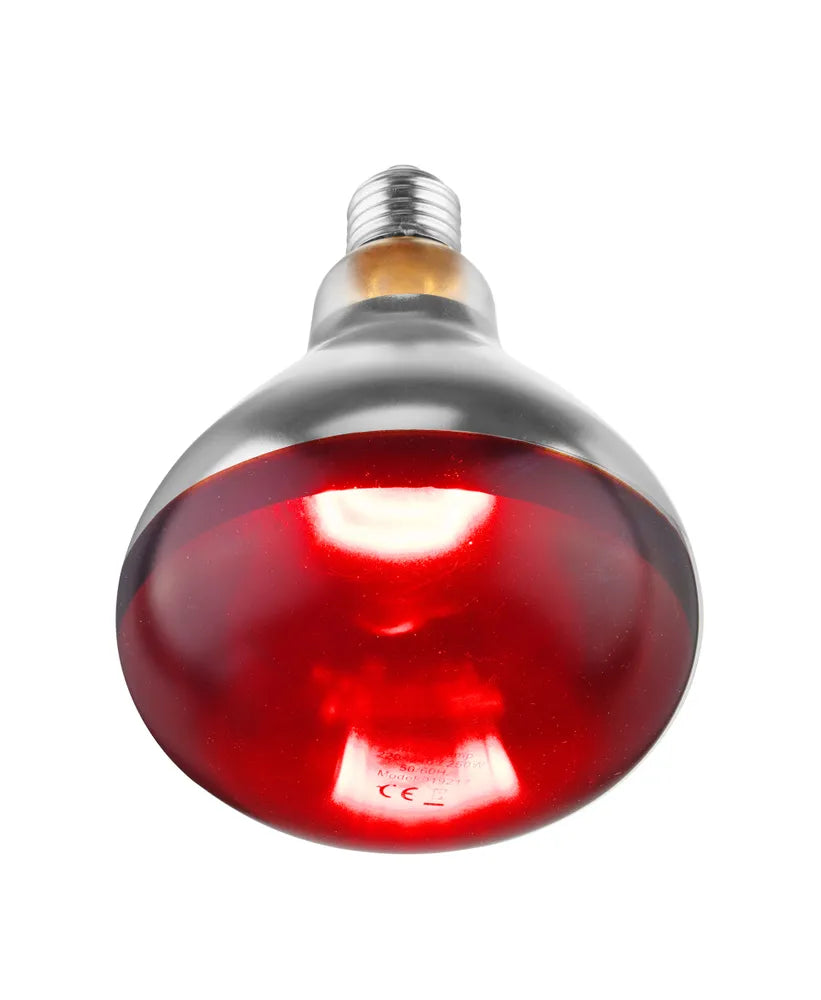 Infrarot-Wärmelampe, HENDI, Rot, 230V/250W, ⌀125x(H)170mm
